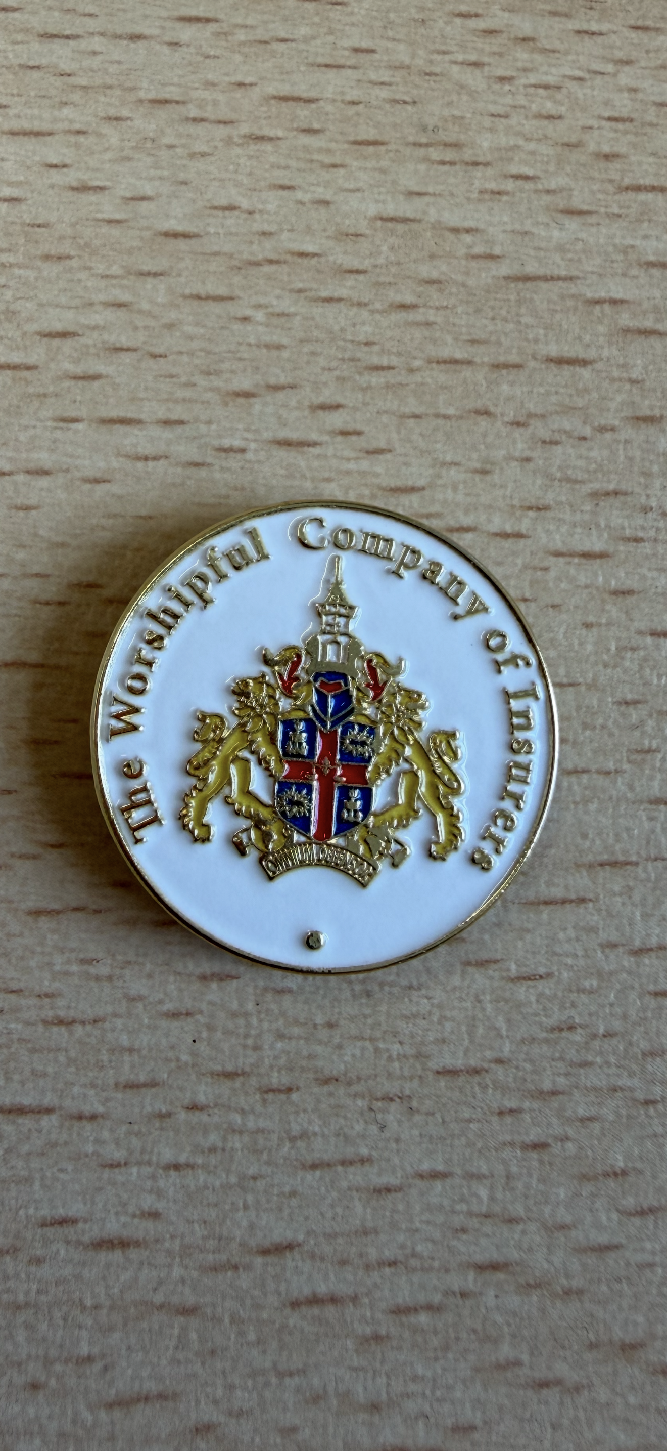 Enamel Badge with Magnetic Back