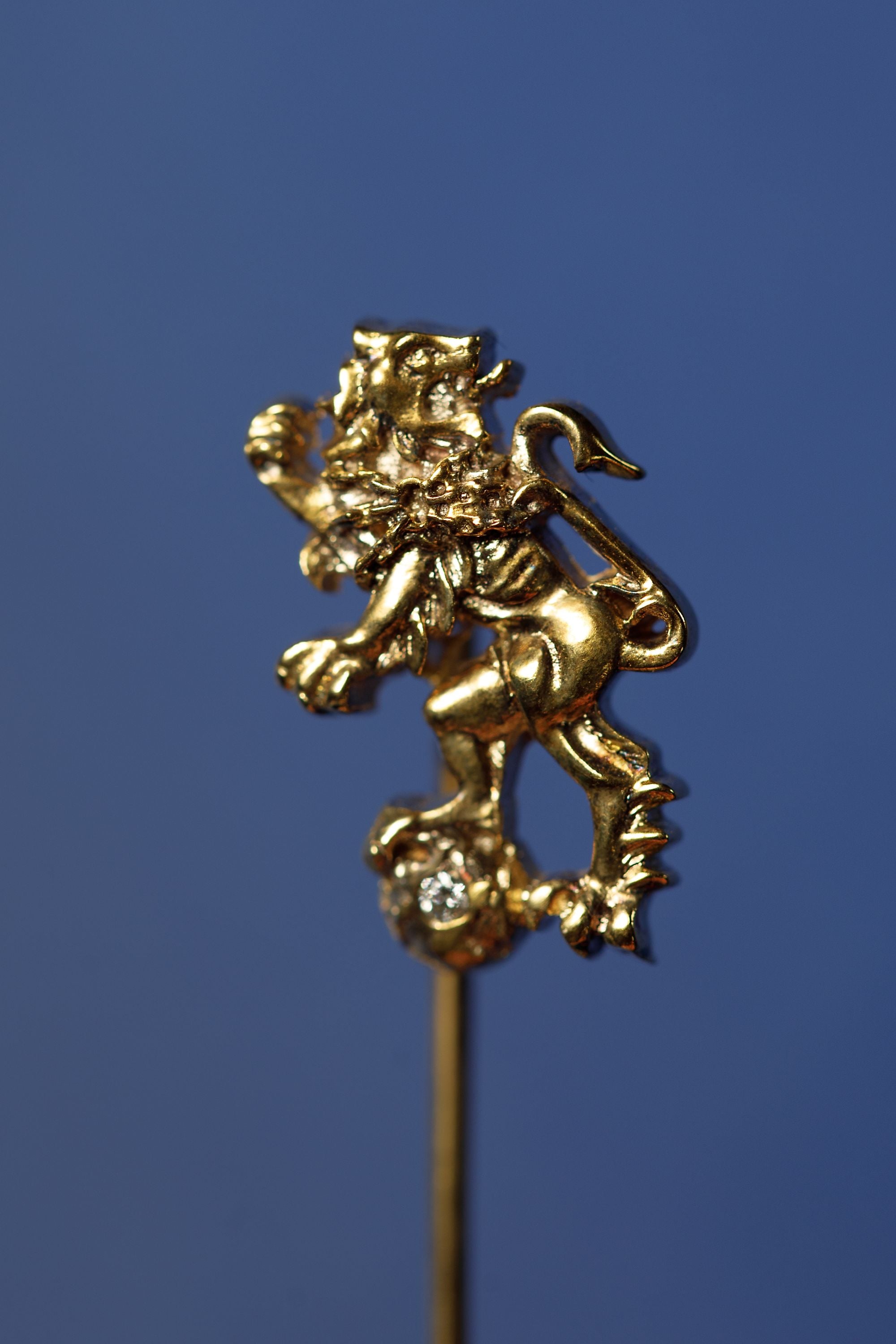 Lapel Pin